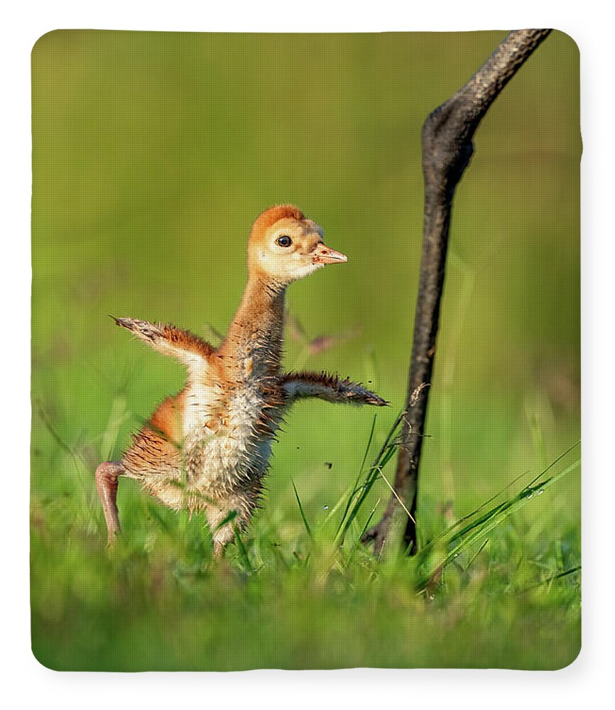 Small Steps - Blanket