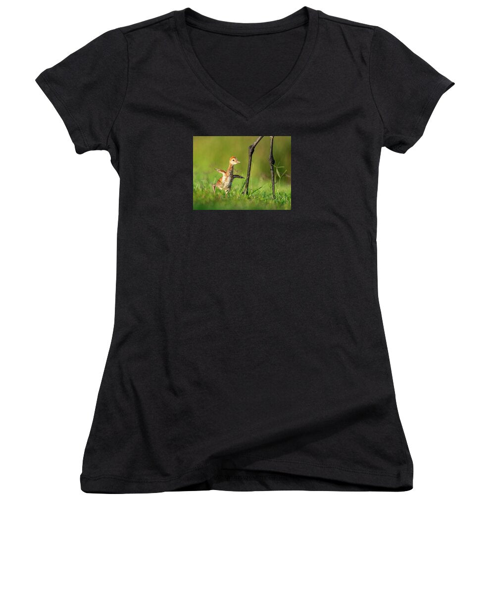 Small Steps - Women's V-Neck