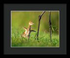 Small Steps - Framed Print