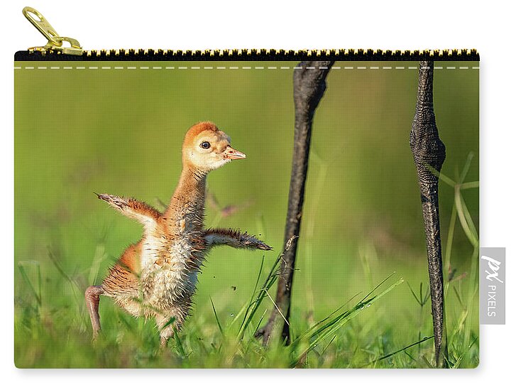 Small Steps - Zip Pouch