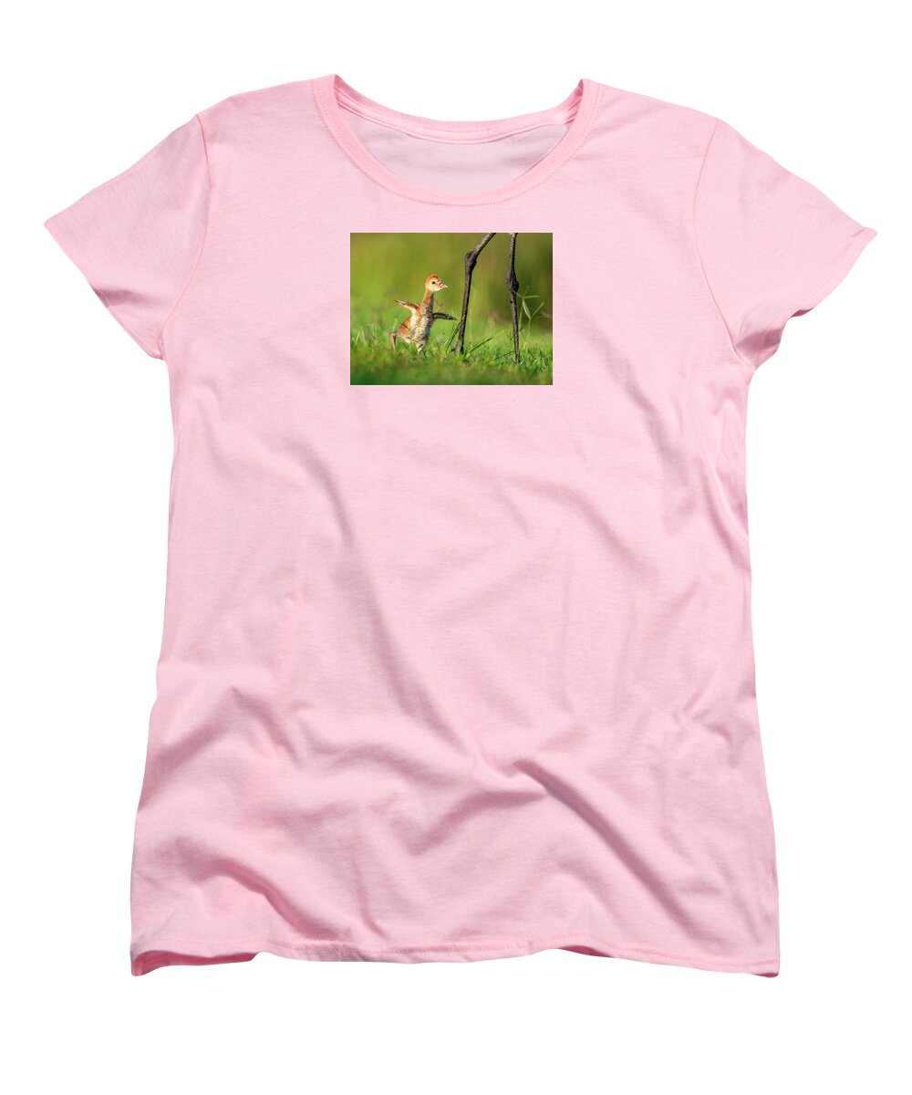 Small Steps - Women's T-Shirt (Standard Fit)