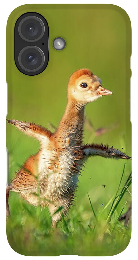 Small Steps - Phone Case