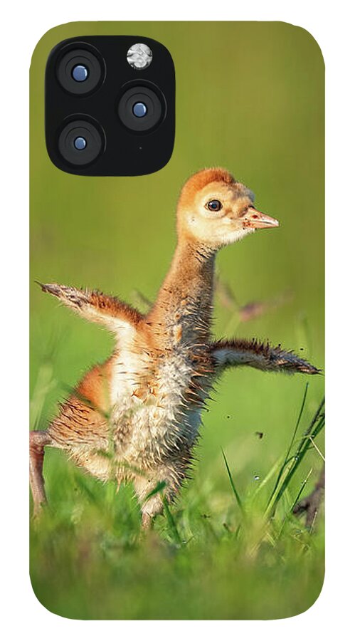 Small Steps - Phone Case
