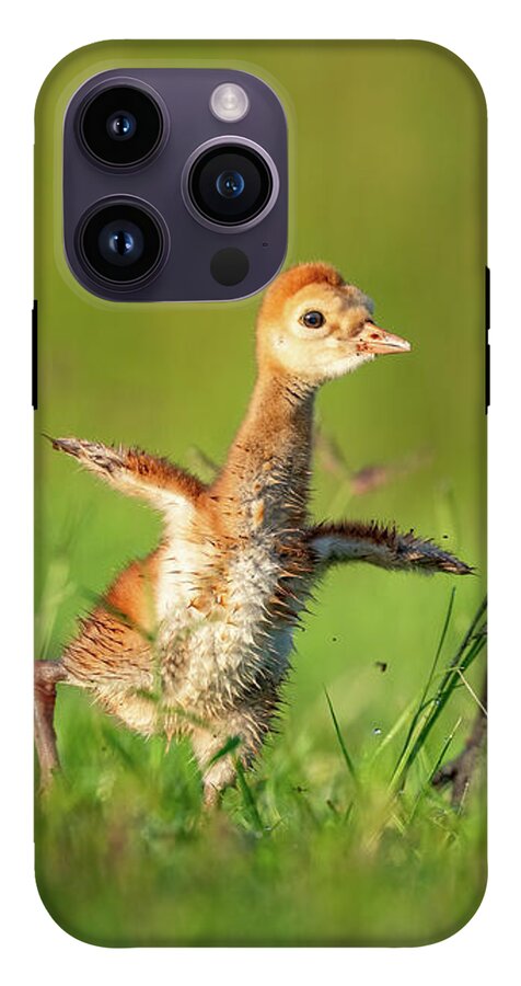 Small Steps - Phone Case