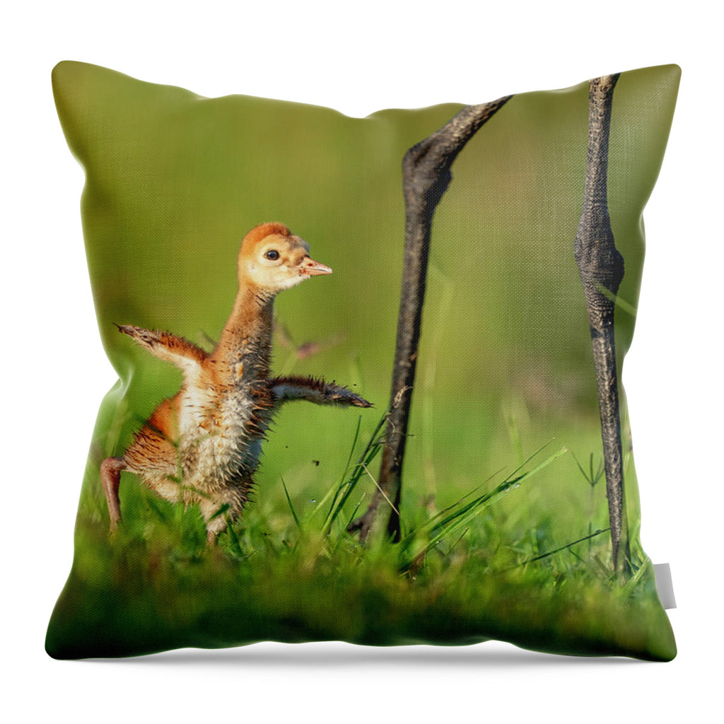 Small Steps - Throw Pillow