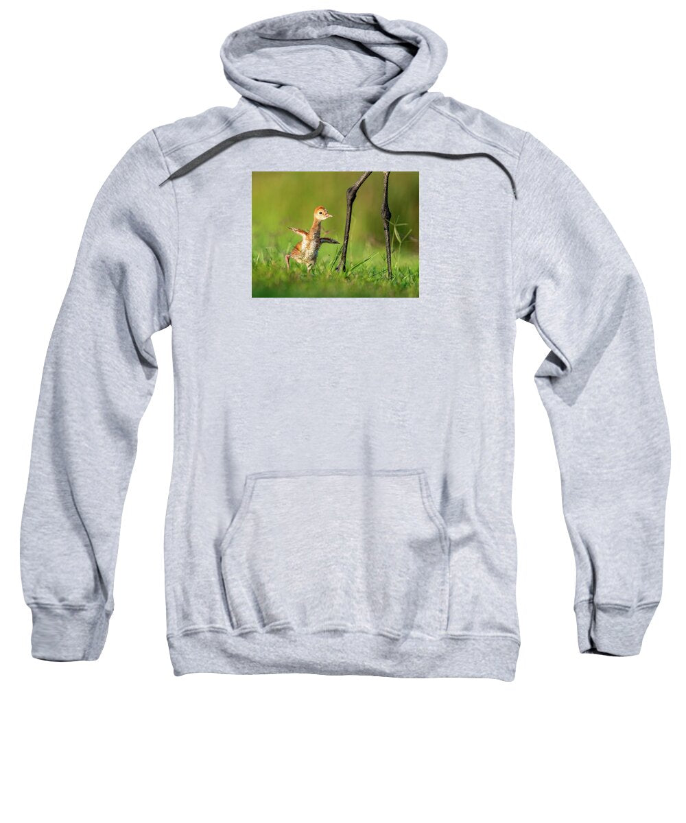 Small Steps - Sweatshirt