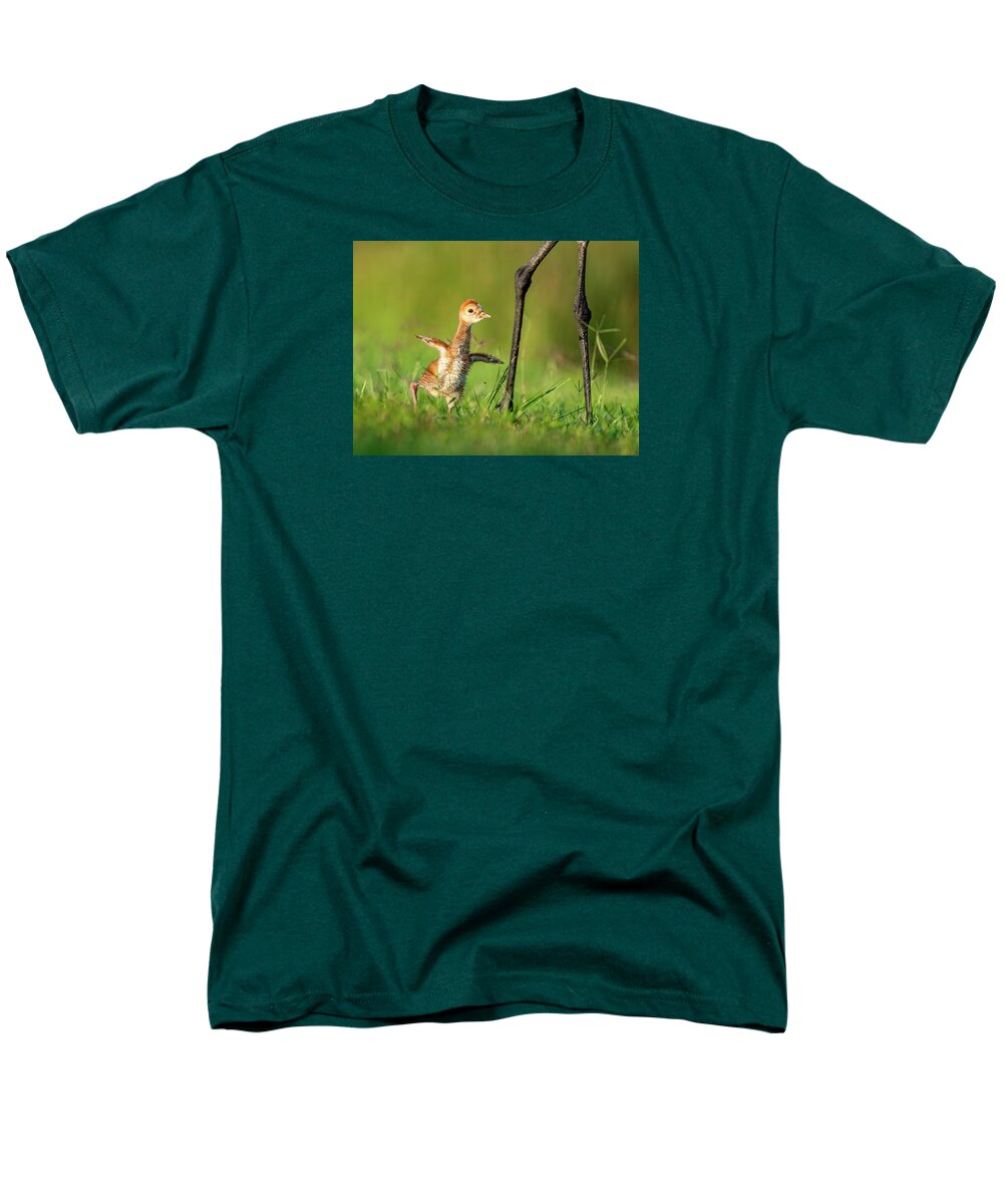 Small Steps - Men's T-Shirt  (Regular Fit)