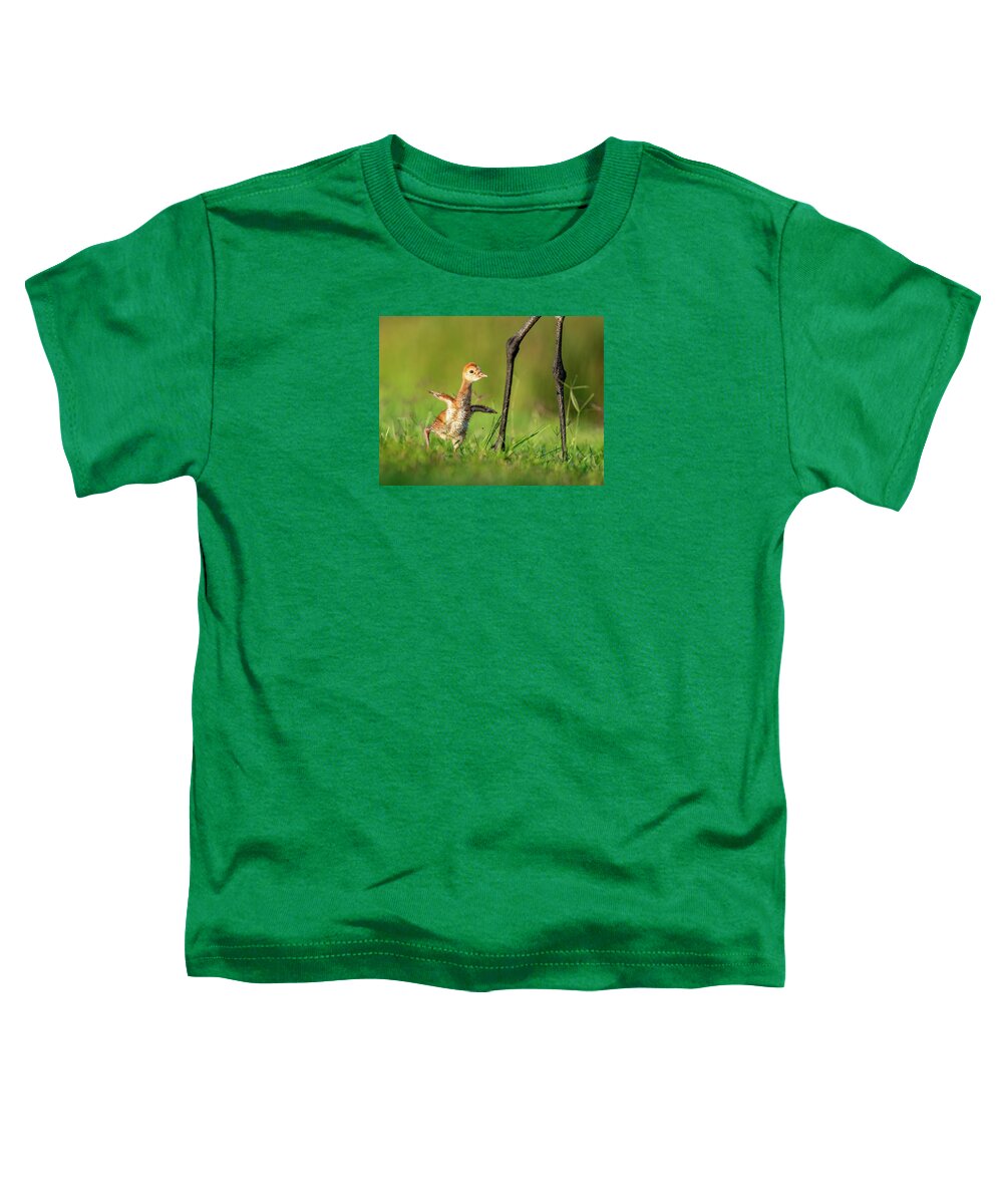 Small Steps - Toddler T-Shirt