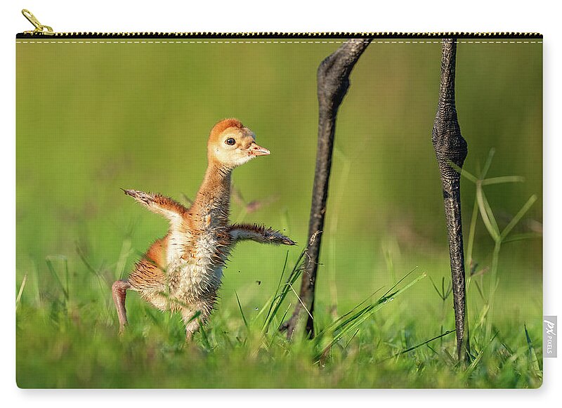 Small Steps - Zip Pouch