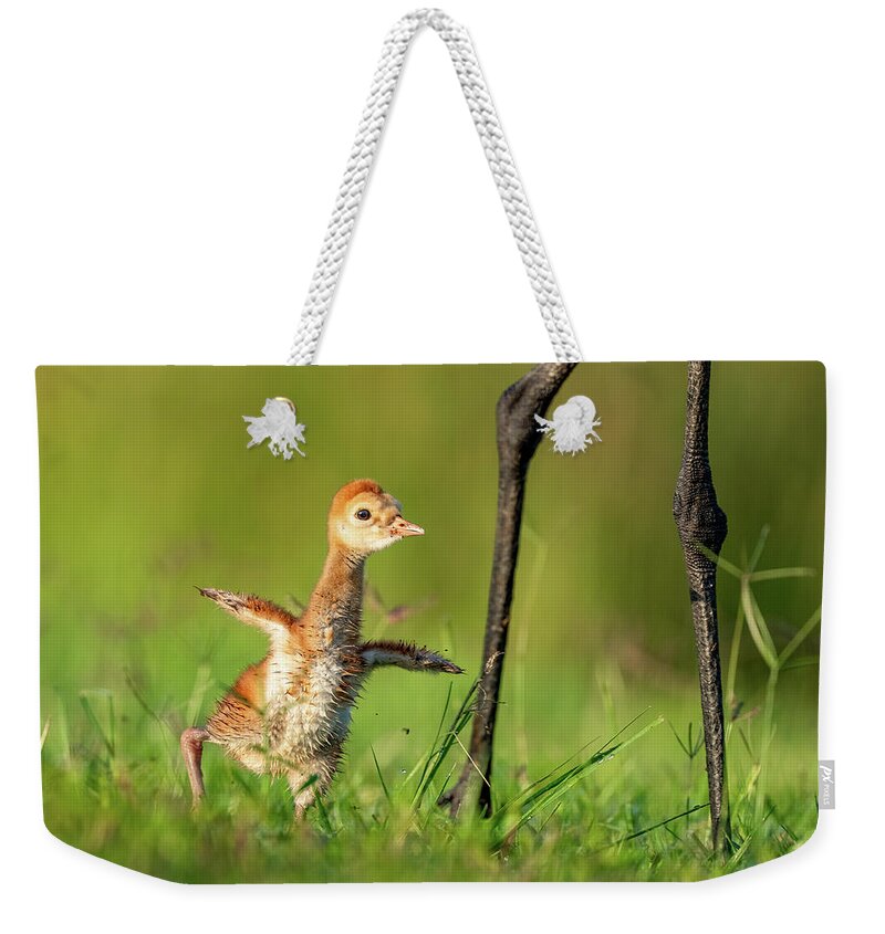 Small Steps - Weekender Tote Bag