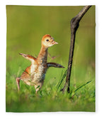 Small Steps - Blanket