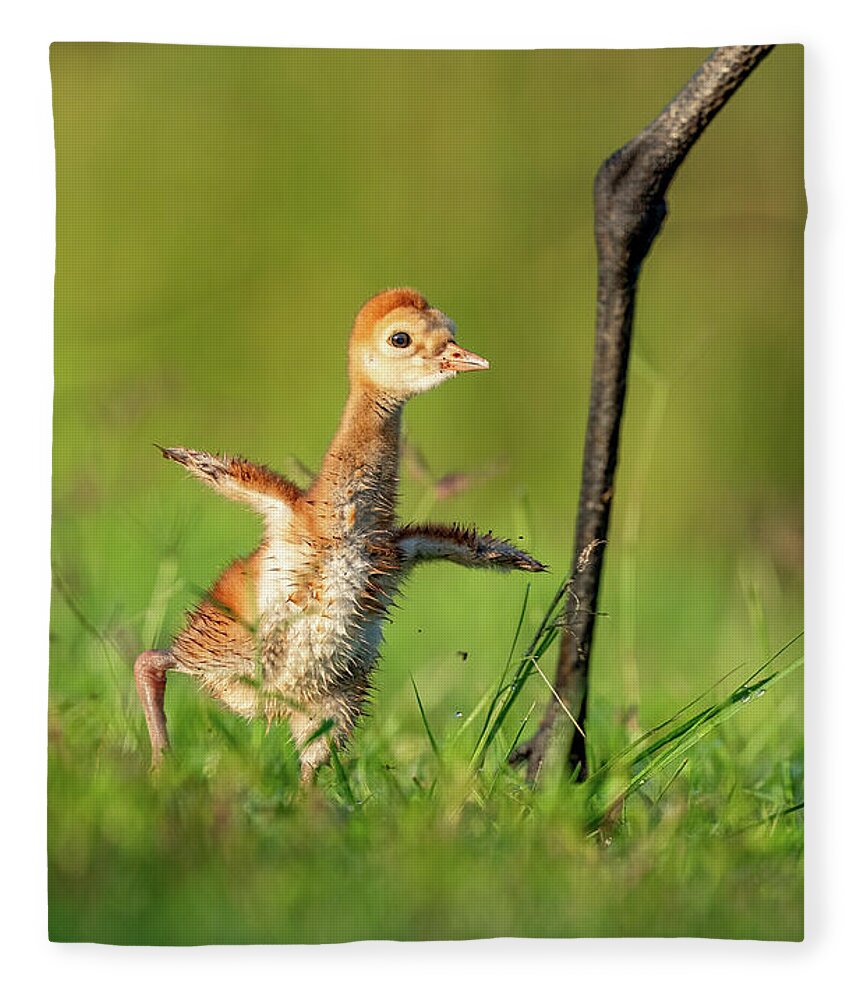 Small Steps - Blanket
