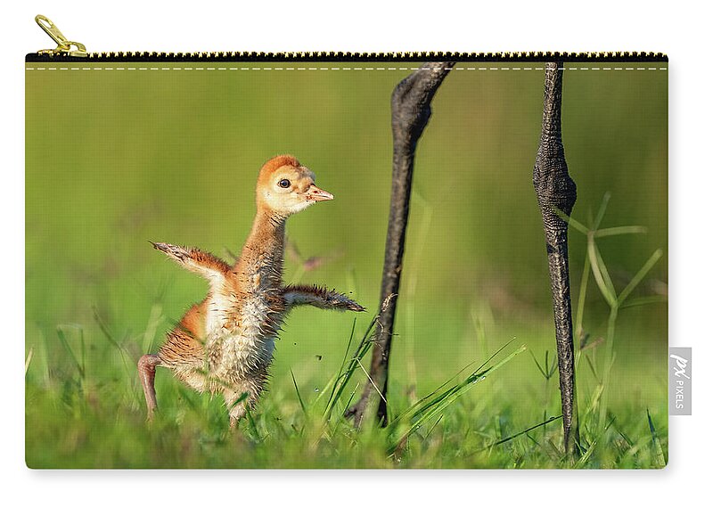 Small Steps - Zip Pouch