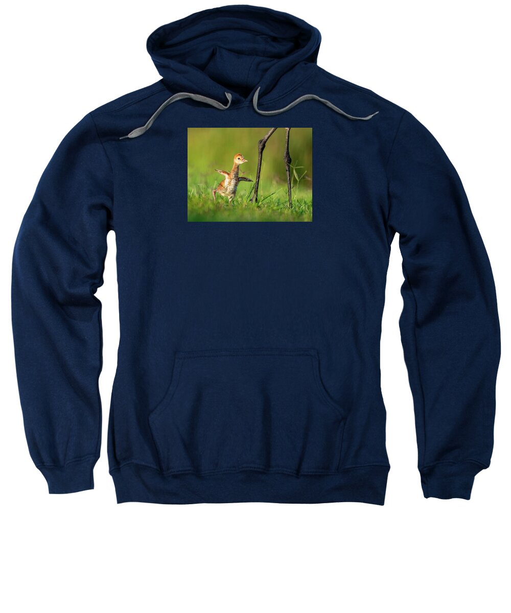 Small Steps - Sweatshirt