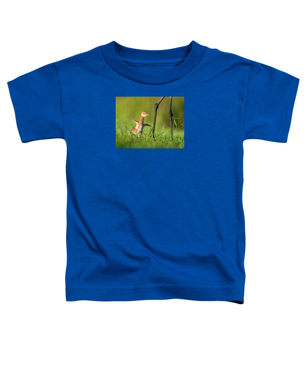 Small Steps - Toddler T-Shirt