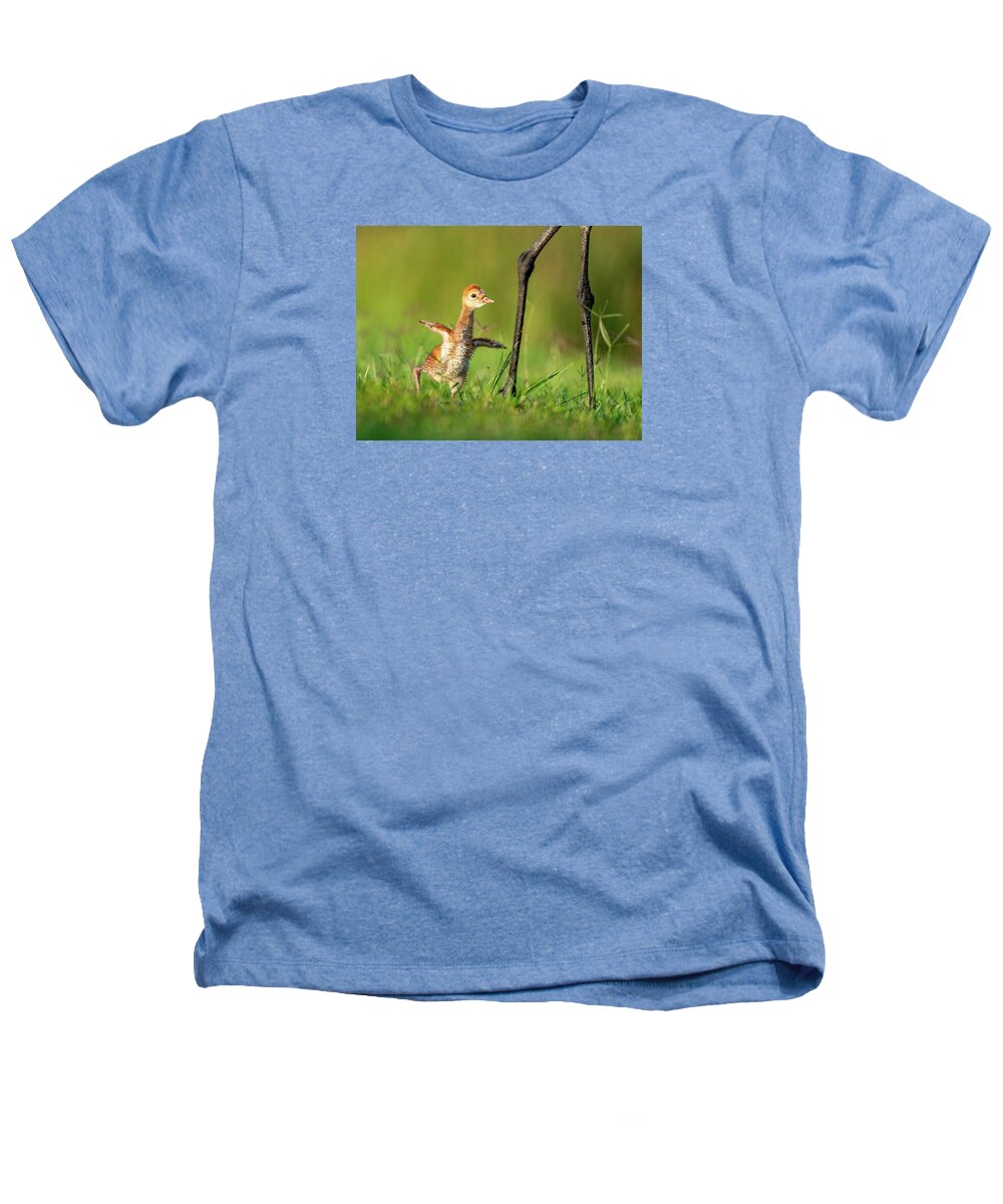 Small Steps - Heathers T-Shirt