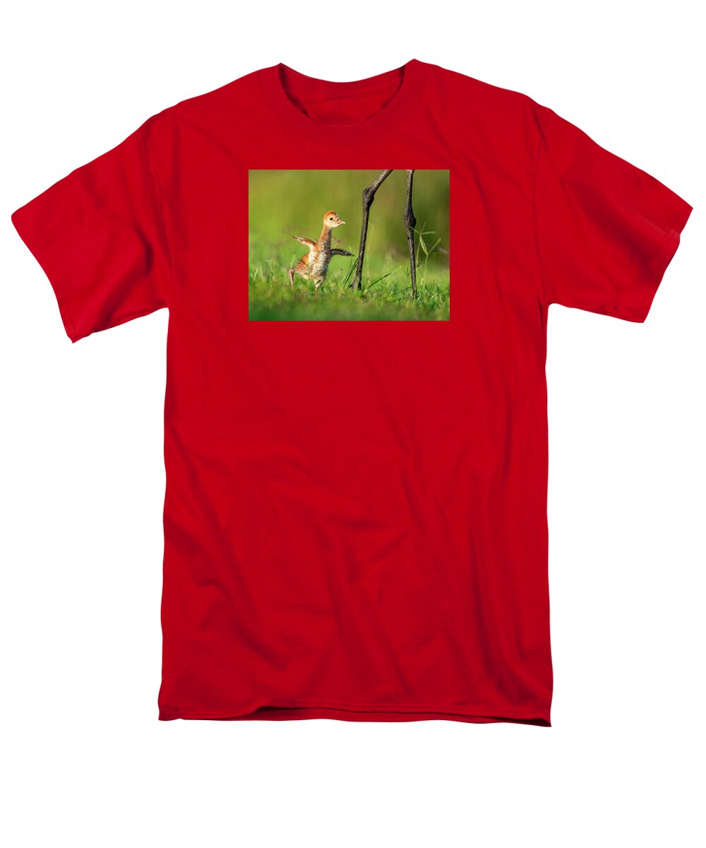 Small Steps - Men's T-Shirt  (Regular Fit)