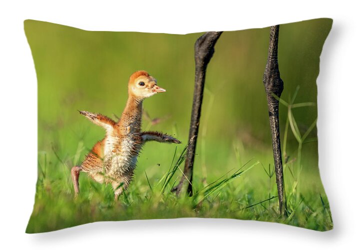 Small Steps - Throw Pillow