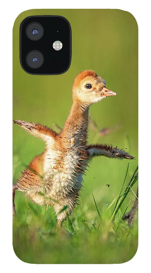 Small Steps - Phone Case