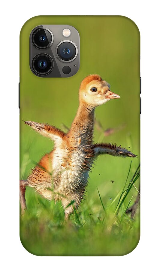 Small Steps - Phone Case