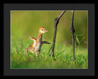 Small Steps - Framed Print