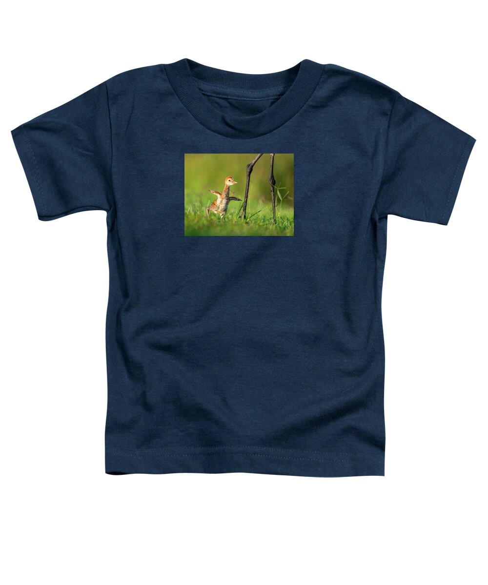 Small Steps - Toddler T-Shirt