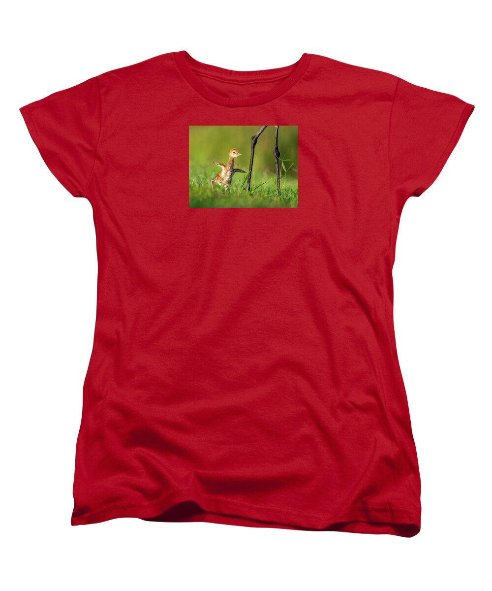 Small Steps - Women's T-Shirt (Standard Fit)