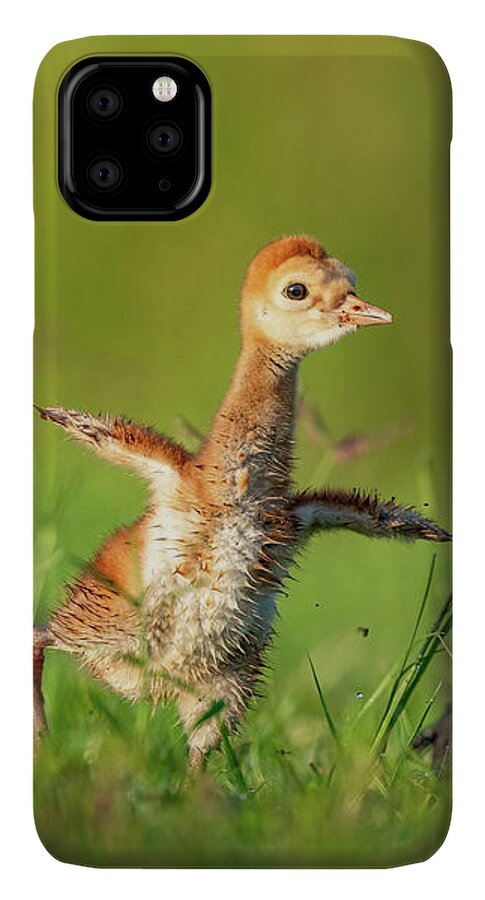 Small Steps - Phone Case