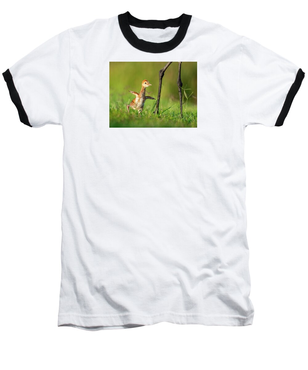 Small Steps - Baseball T-Shirt