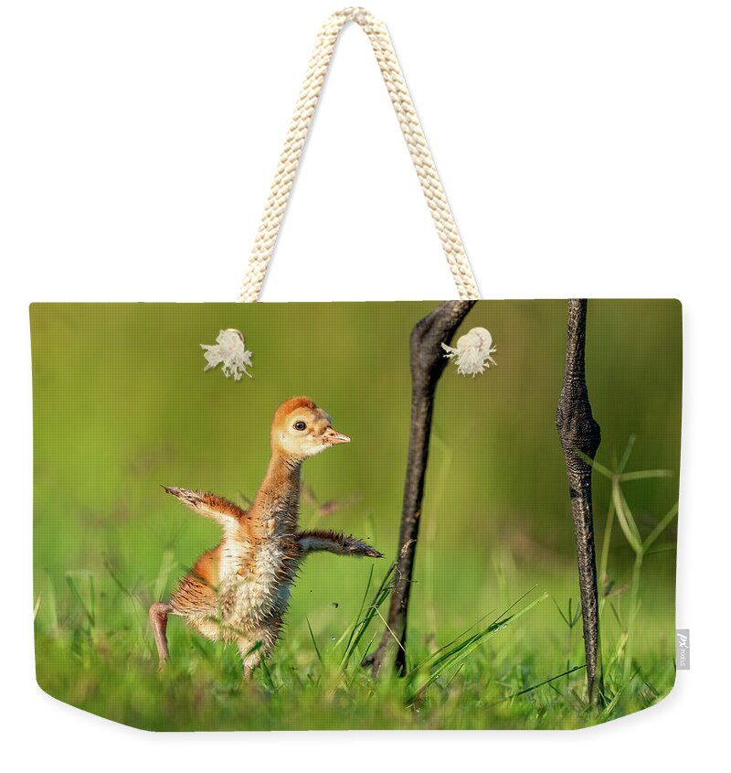 Small Steps - Weekender Tote Bag