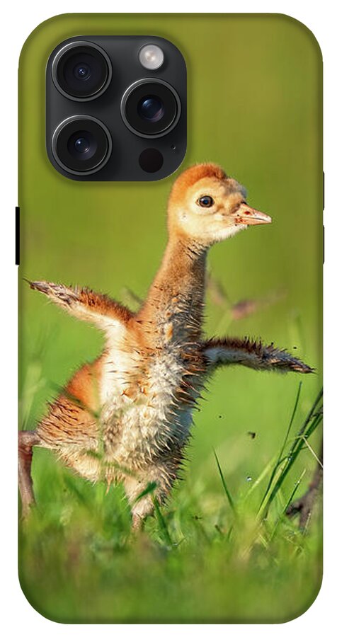 Small Steps - Phone Case
