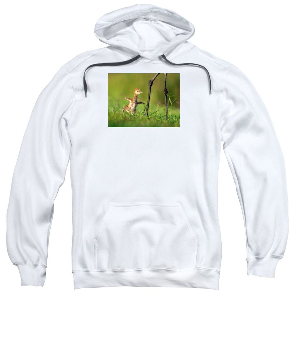 Small Steps - Sweatshirt
