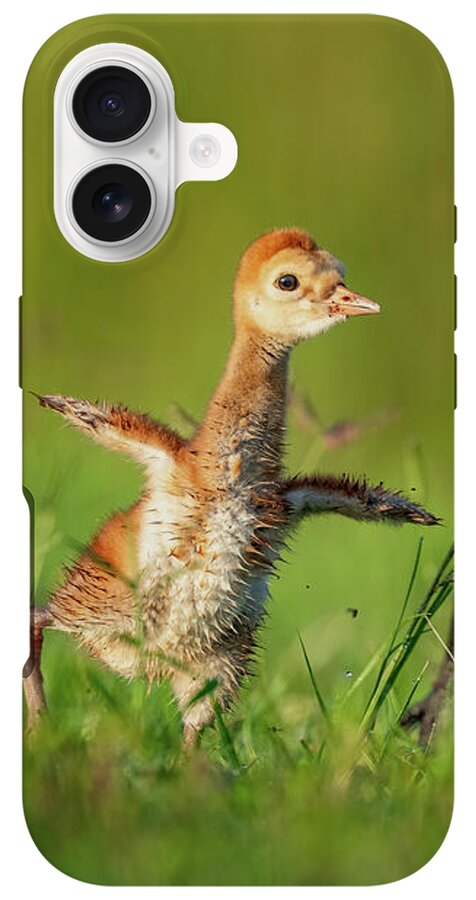Small Steps - Phone Case