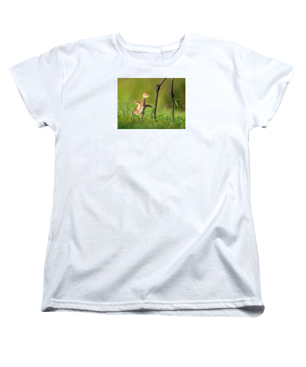Small Steps - Women's T-Shirt (Standard Fit)