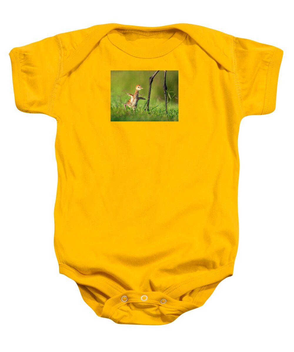 Small Steps - Baby One-Piece