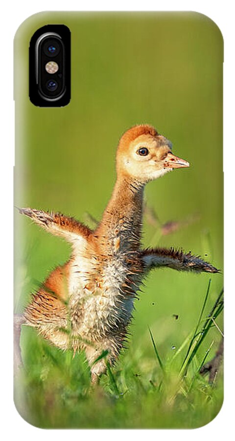 Small Steps - Phone Case