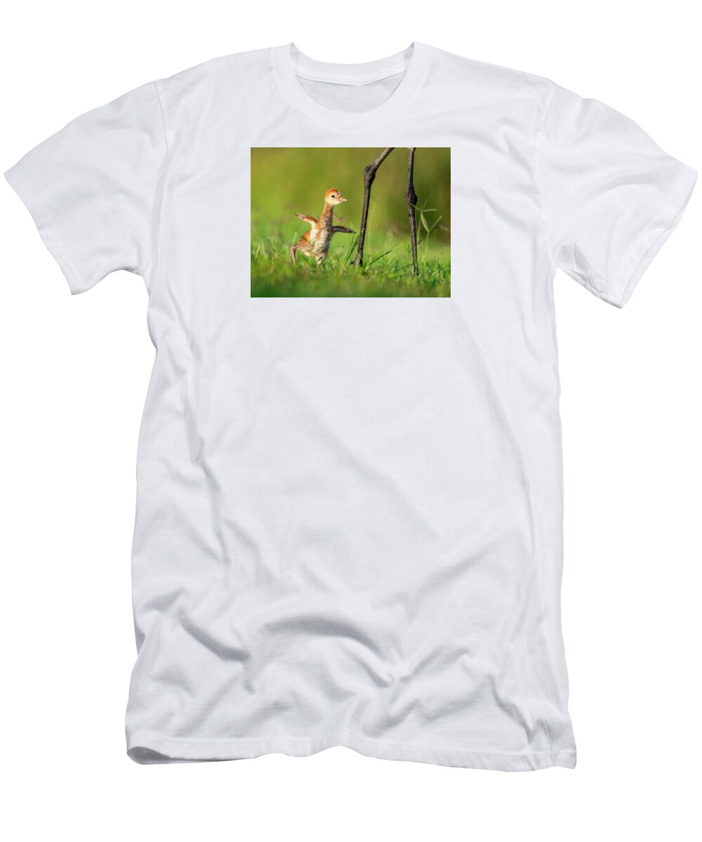 Small Steps - T-Shirt