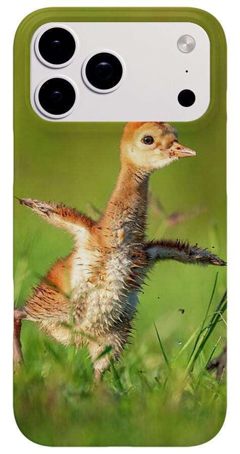 Small Steps - Phone Case