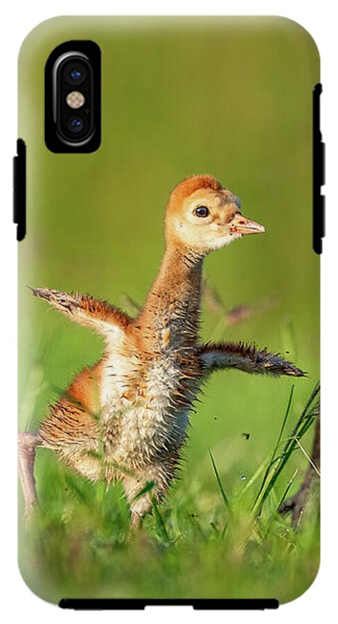 Small Steps - Phone Case