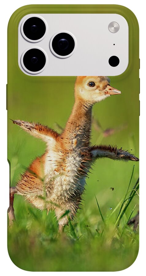Small Steps - Phone Case