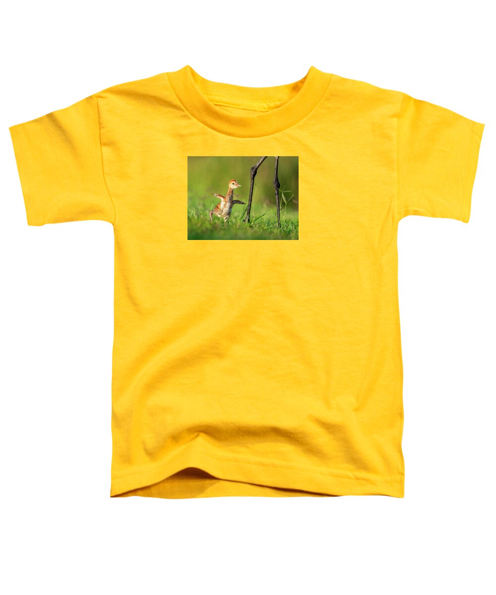 Small Steps - Toddler T-Shirt
