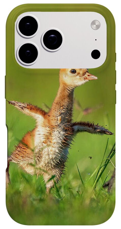 Small Steps - Phone Case