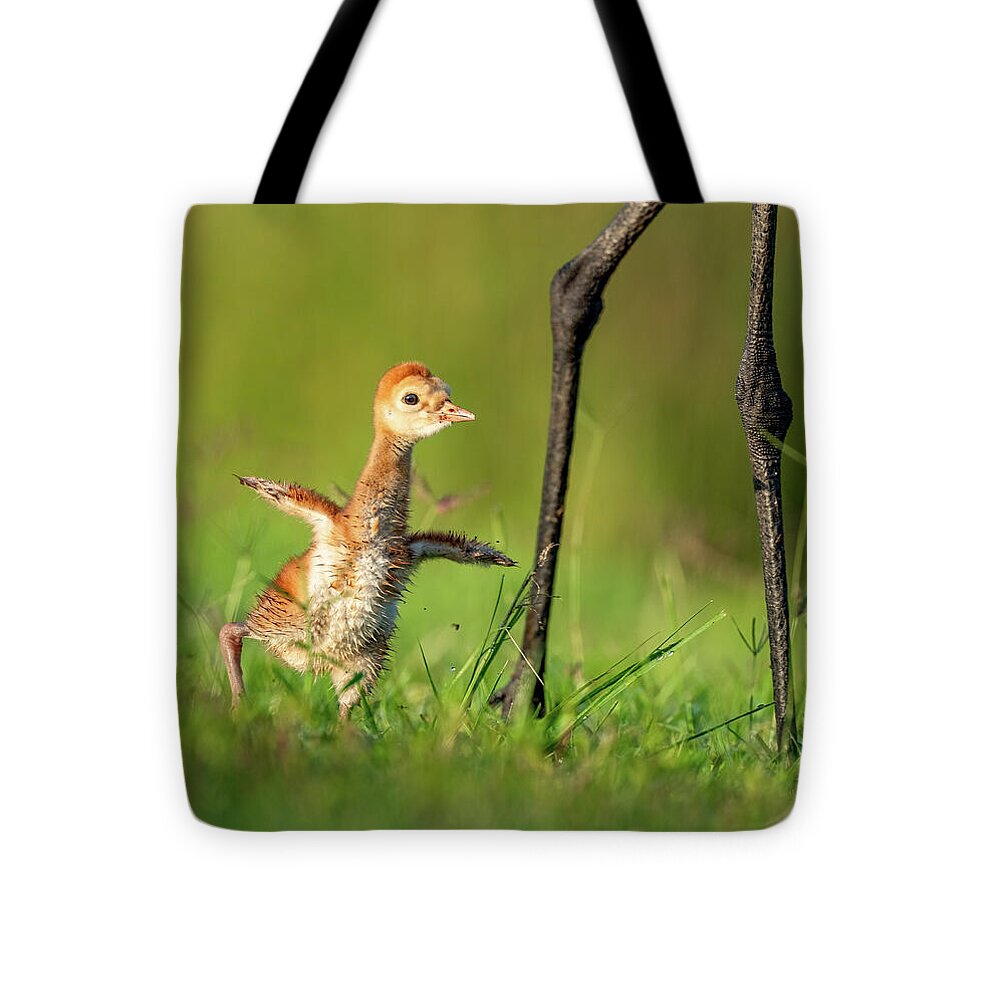 Small Steps - Tote Bag