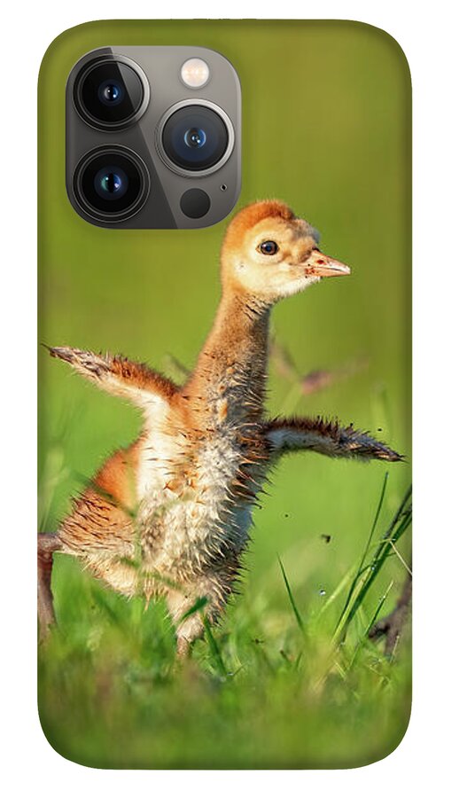 Small Steps - Phone Case