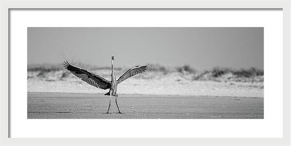 Sovereign - Framed Print