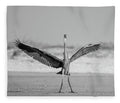 Sovereign - Blanket