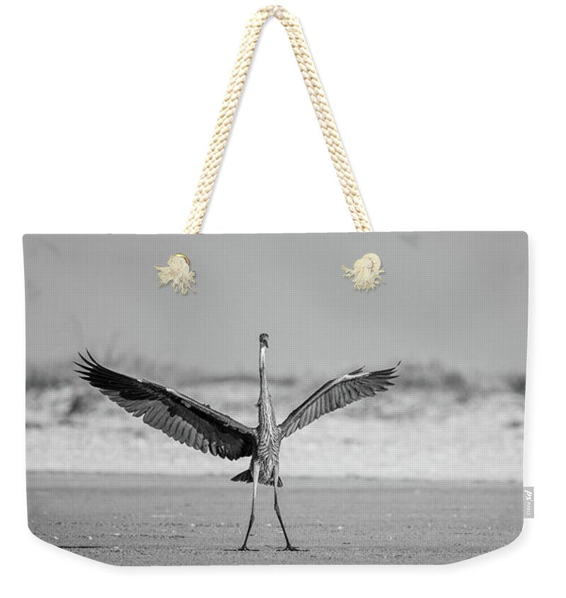 Sovereign - Weekender Tote Bag