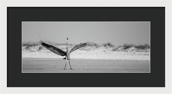 Sovereign - Framed Print