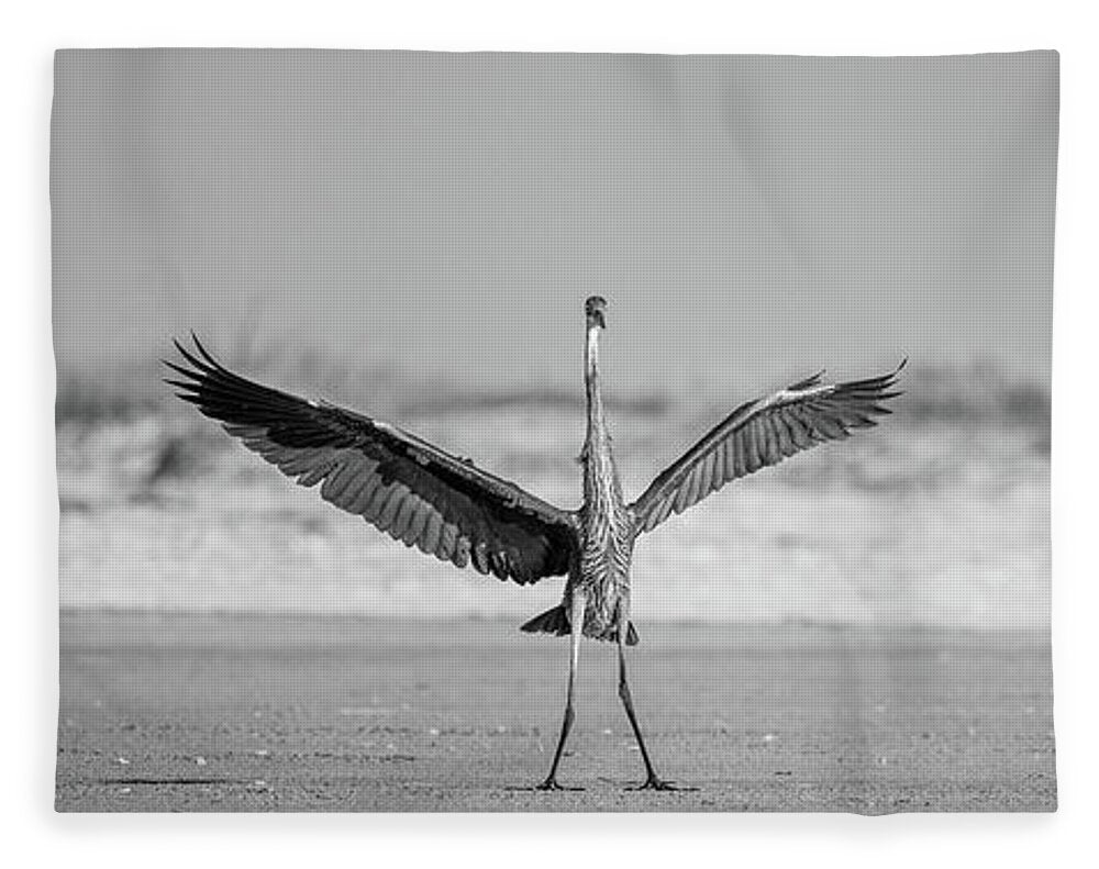 Sovereign - Blanket