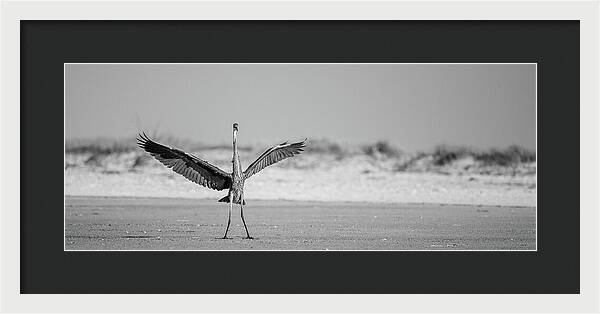 Sovereign - Framed Print